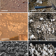 Comparison of opaline silica structures found on Mars (left panels) and El Tatio (right panel) at various scales. a-b scale bar represents 10 cm, c-d scalebar represents 5 cm, and e-f scale bar represents 1cm. Image: Ruff and Farmer 2016